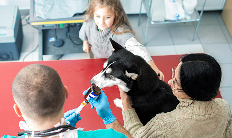 Medicină veterinară-Trotec